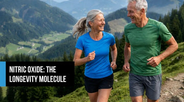  A couple jogging in the mountains, illustrating how nitric oxide supports physical longevity and endurance.
