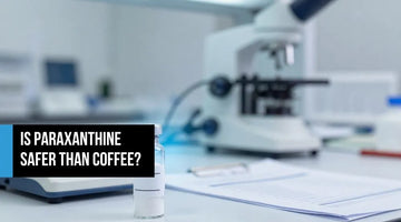 Pharmaceutical-grade crystalline powder in a glass vial on a lab surface beside a precision scale and safety report — representing paraxanthine's rigorous toxicology testing and GRAS-affirmed purity standards.